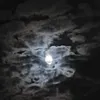 itpd_s9