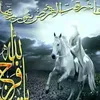 user6511652615463