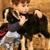 aliouargla3