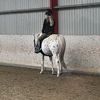 equestrian_life077
