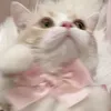 _mkll6