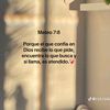 escorpion_noviembre28