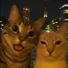 lampuss_