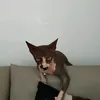 adik_075.0