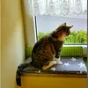 carmelka44