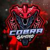 ⚡ｃｏｂｒａ _ｙｔ '⚡