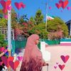 muuna.mohamet