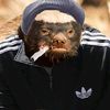 alekkakalik