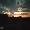 safiya_h1
