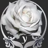 yildiz_nadine