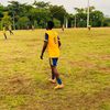 collins_918