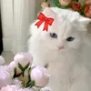 sm.llll