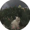 1il_x9_45