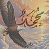 sobhy750