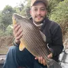 Mateus