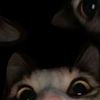 empy_em