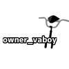 owner_vaboy_real1