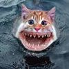 Catfish Tales