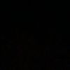 moji_334421