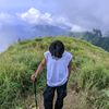 annzz20.6