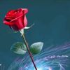 giselaperez_4523