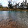 pattysanabria8