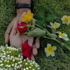 jannatul.parda.ho