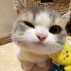 naww_23