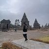 fedrich_co