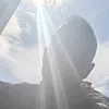 avaronito