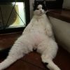 catfishing686