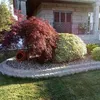 user411751196