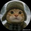 petrovich_x_shacal