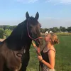 annaboer.com