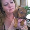 heycindypgmail.com