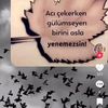 xanim.xanim43