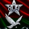 malikfaraz804pti