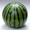 arbuzyatnik_arbuzovich