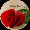 asllli2516