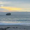 monkey64475