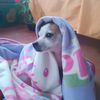 mariluzdogo