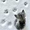 blauw.wolf.1