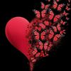 papillonrouge660