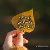 abu_mohamad001