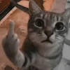 xxxisa._
