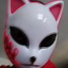the_maskman_fox