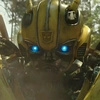 bumblebee_4017