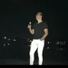 nestorpolidoro33