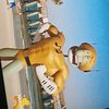 esteban_ox_loko_805