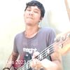 dalmidired